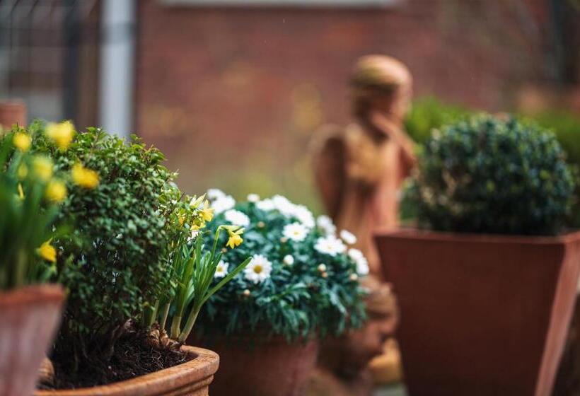 ホテル Busche Am Dom