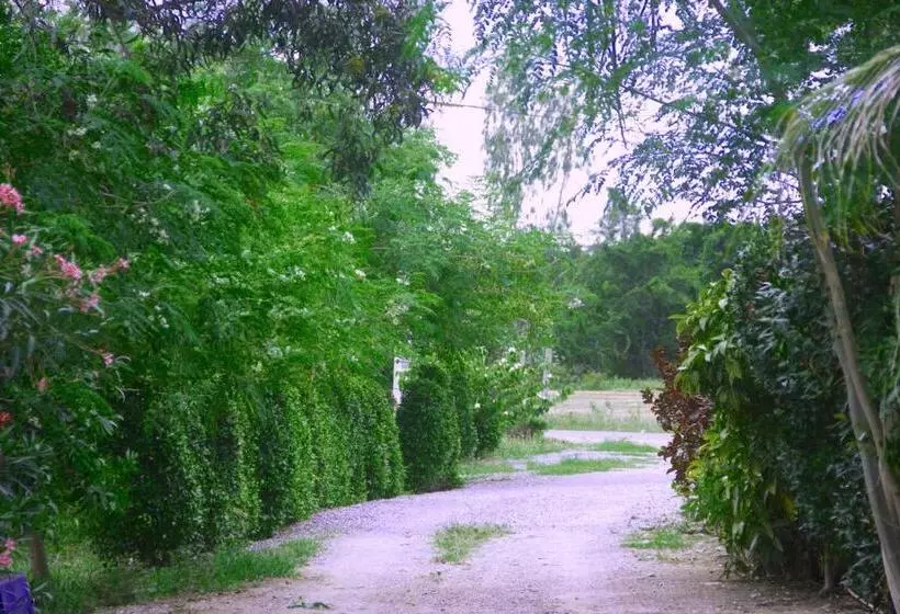 هتل Kp Mountain Beach