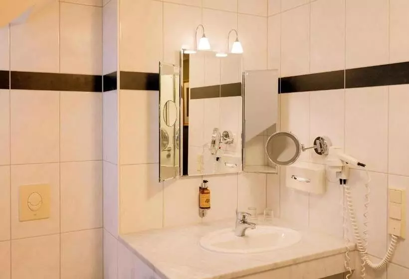 Steiger Apparthotel Bad Schandau