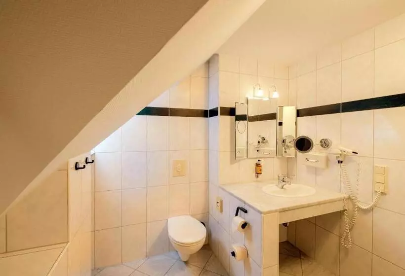 Steiger Apparthotel Bad Schandau