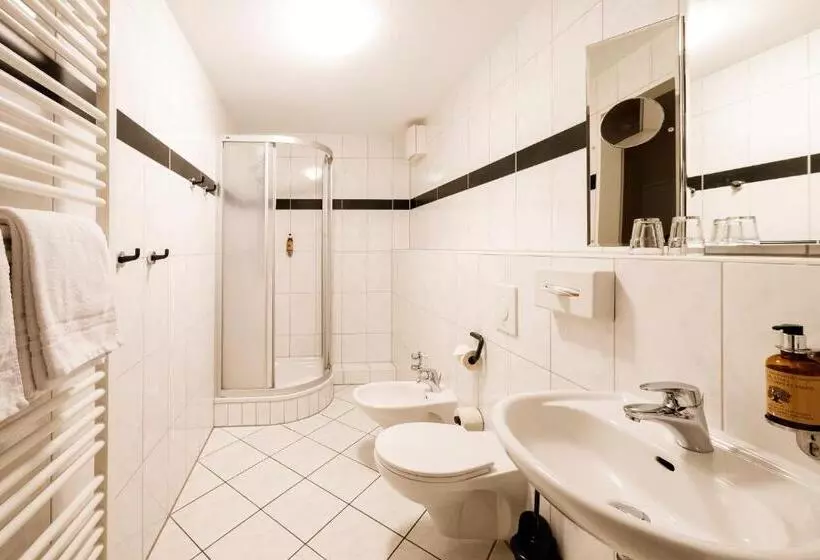 Steiger Apparthotel Bad Schandau