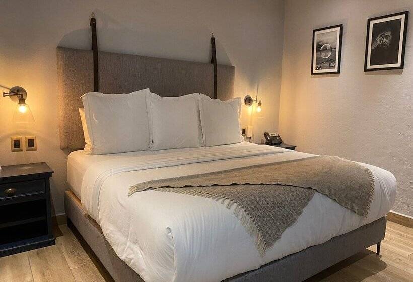 پانسیون Origen