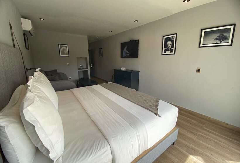 پانسیون Origen