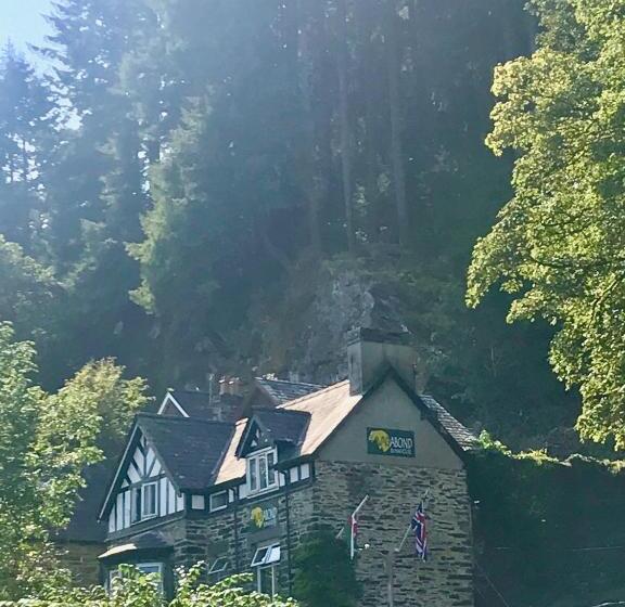 旅馆 The Vagabond Bunkhouse