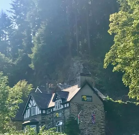 هاستل The Vagabond Bunkhouse