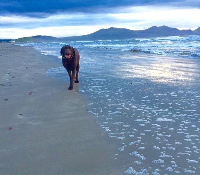 旅馆 The Vagabond Bunkhouse