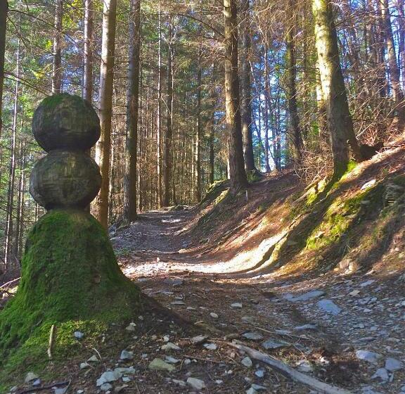 旅馆 The Vagabond Bunkhouse