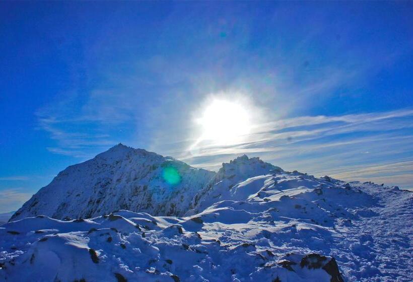 旅馆 The Vagabond Bunkhouse