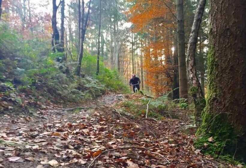 旅馆 The Vagabond Bunkhouse