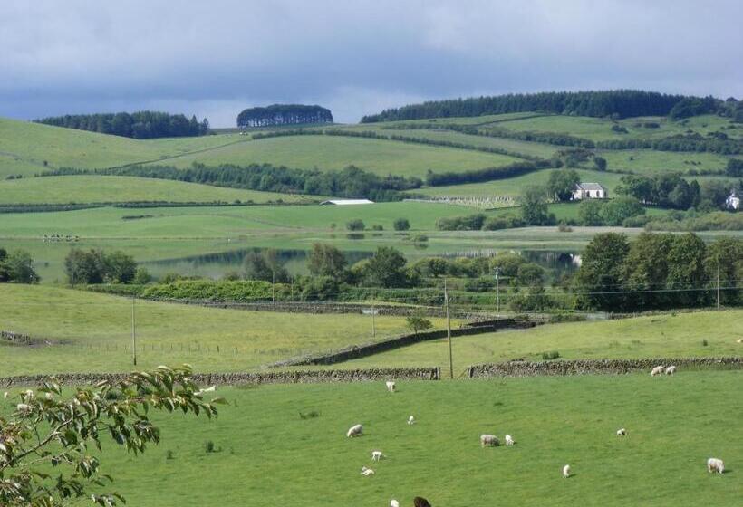 Bed and Breakfast Airds Farm Guest House