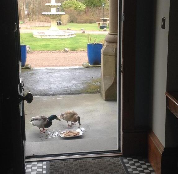 צימר Camfield House