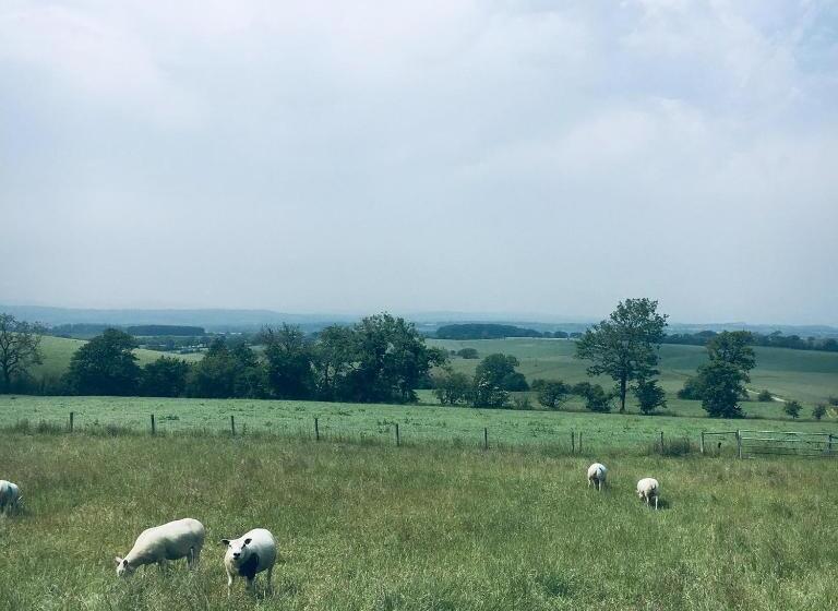 Bed and Breakfast Foxhill Fold