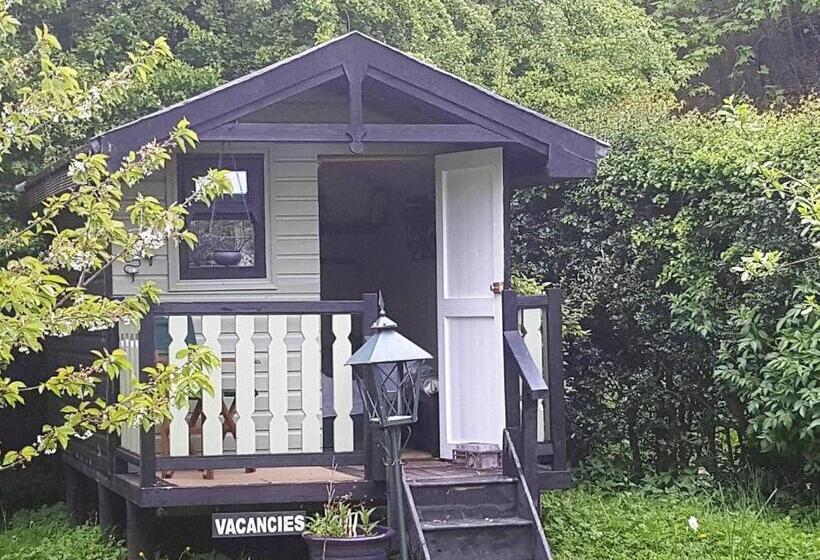 住宿加早餐  Lowther House