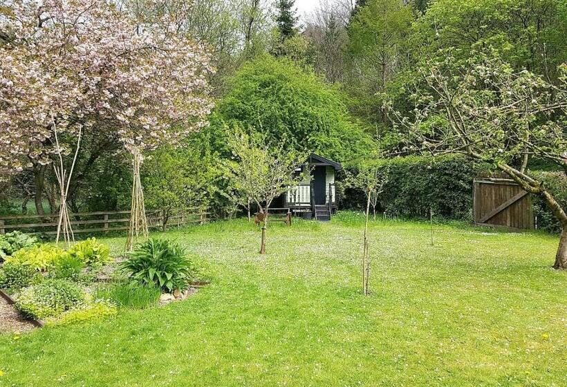 住宿加早餐  Lowther House