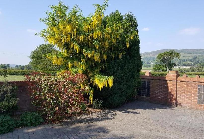 住宿加早餐  Tall Trees