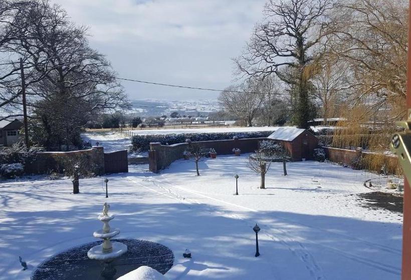 住宿加早餐  Tall Trees