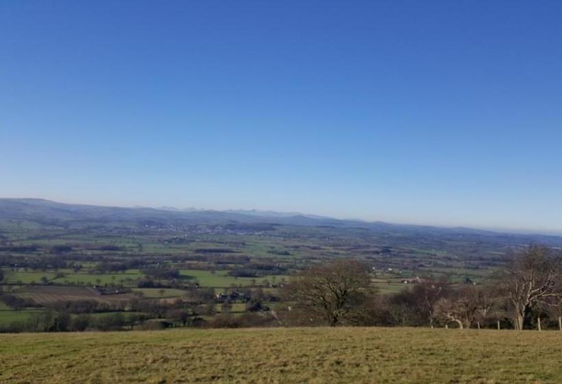 住宿加早餐  Tall Trees