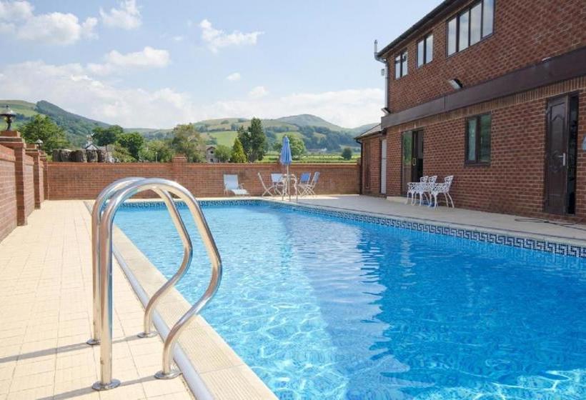 住宿加早餐  Tall Trees