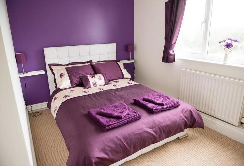 住宿加早餐  Teifi Netpool