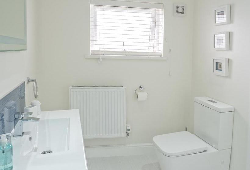 住宿加早餐  Teifi Netpool