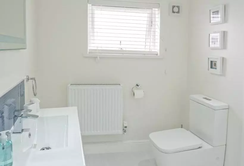 Aamiaismajoitus (B&B) Teifi Netpool