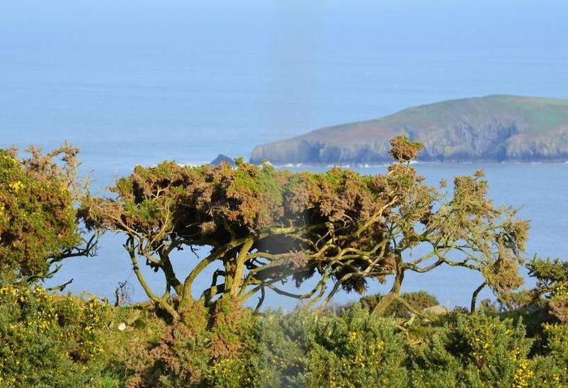 住宿加早餐  Teifi Netpool