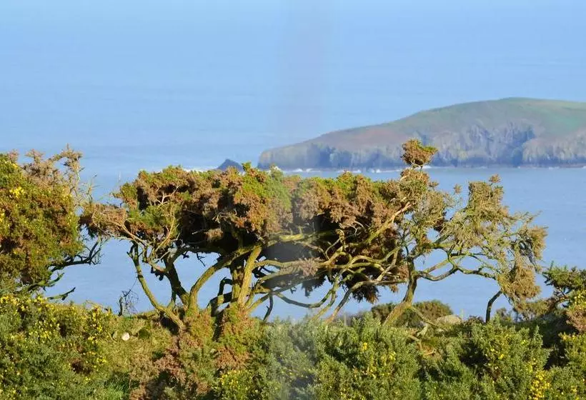 Aamiaismajoitus (B&B) Teifi Netpool