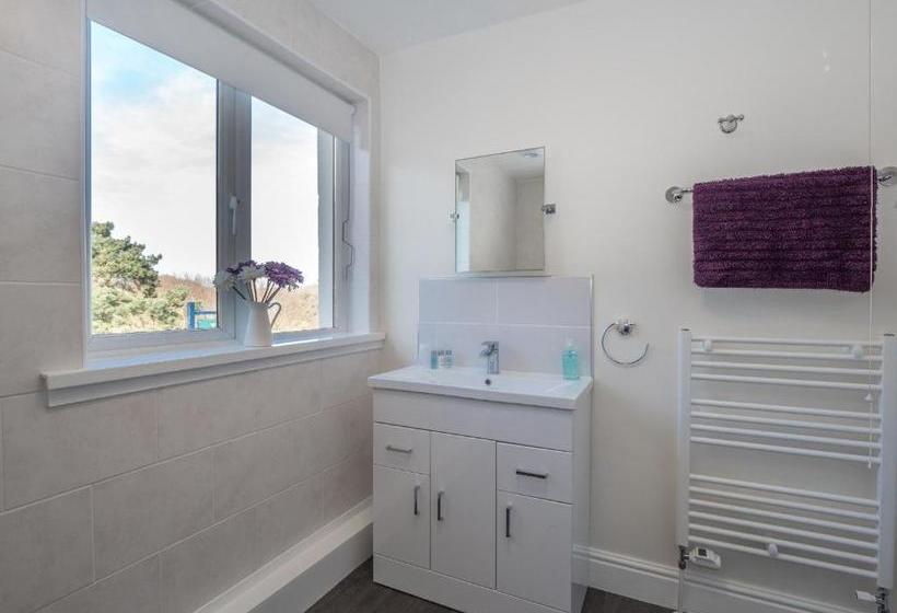 住宿加早餐  Teifi Netpool