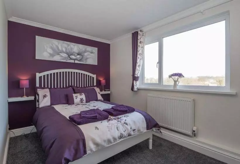 Aamiaismajoitus (B&B) Teifi Netpool