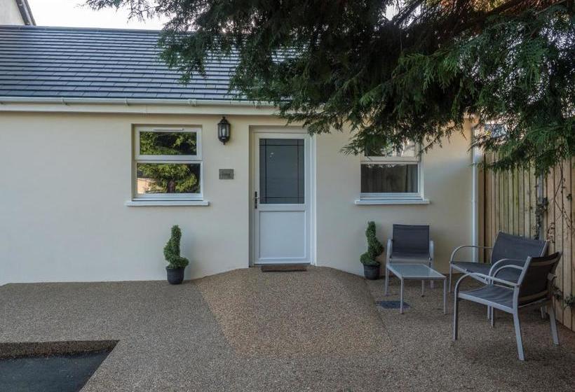 住宿加早餐  Teifi Netpool