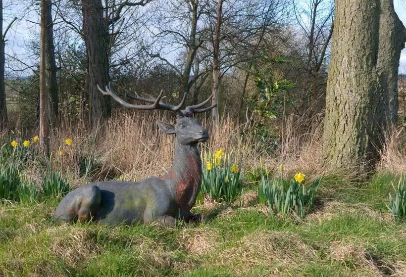 Aamiaismajoitus (B&B) Throphill Grange