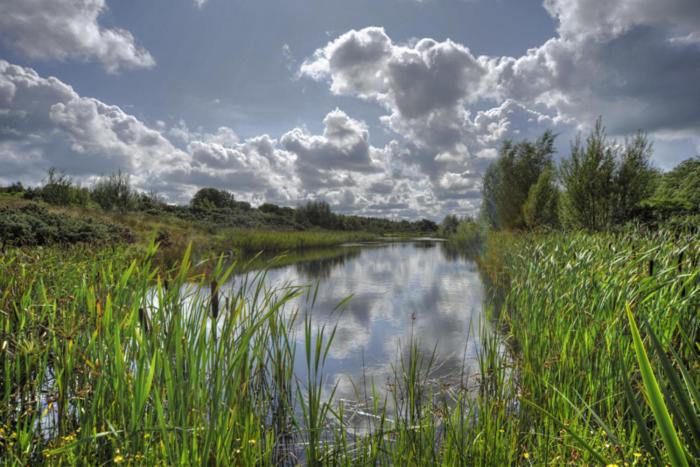 Aamiaismajoitus (B&B) Throphill Grange