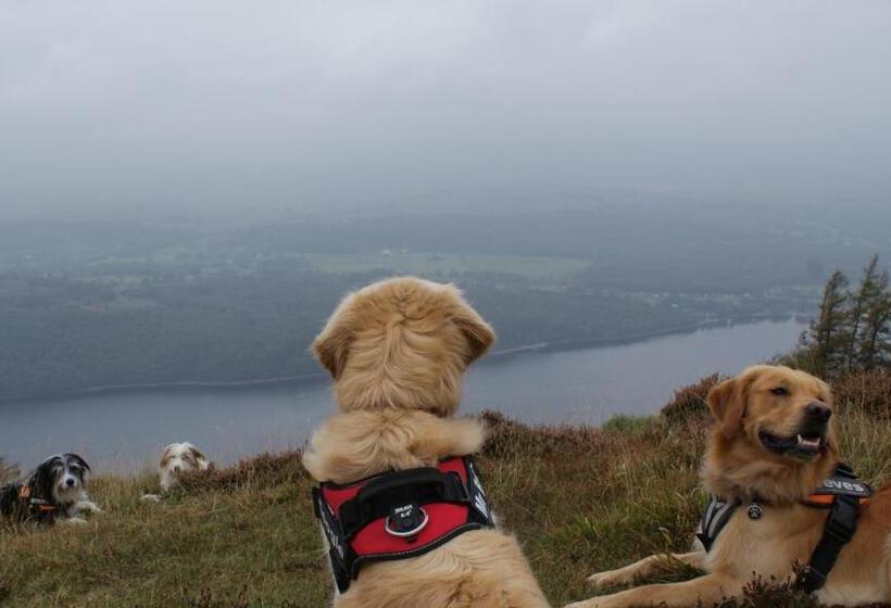 住宿加早餐  Wheelgate