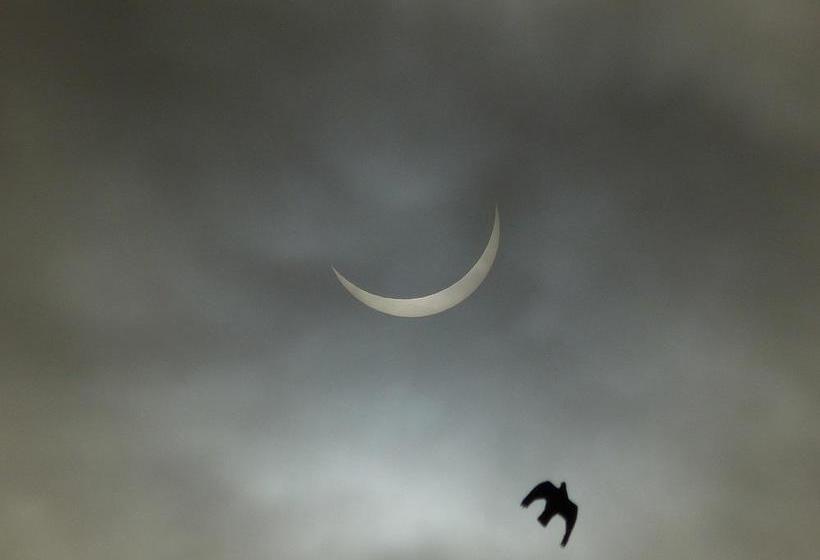 호텔 Peakstones Inn