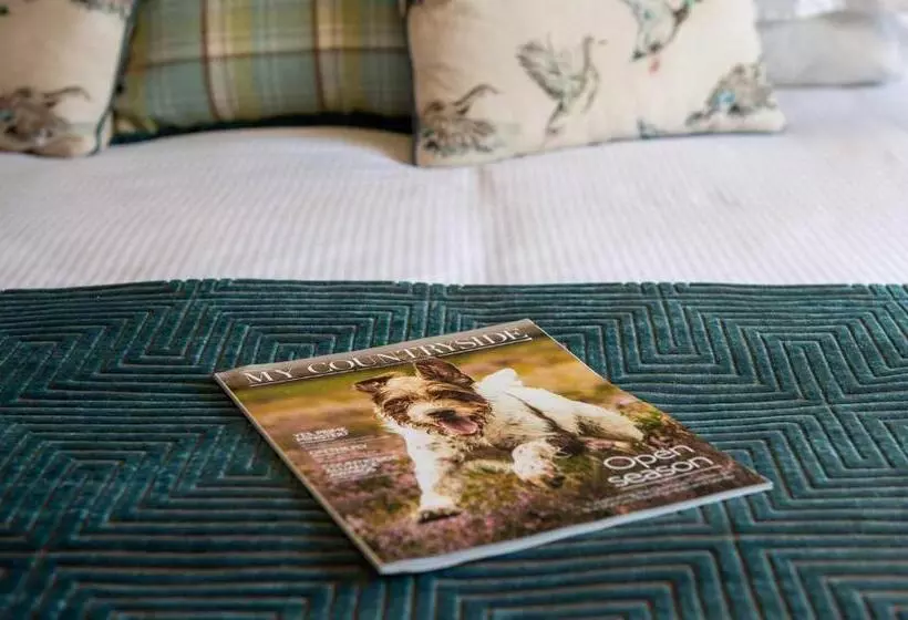 The Dinney B&b