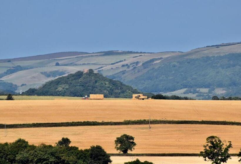 צימר Cedar House