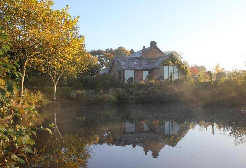 ベッドアンドブレックファースト Hayeswood Lodge Luxury Accommodation