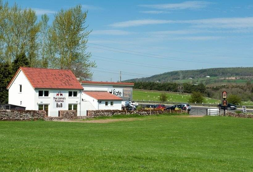 Bed and Breakfast Llamas Pyjamas