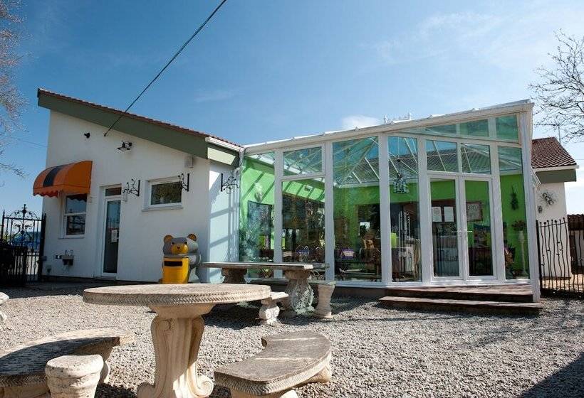 Bed and Breakfast Llamas Pyjamas