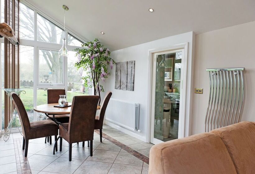 Bed and Breakfast Llamas Pyjamas