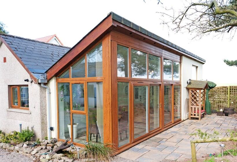 Bed and Breakfast Llamas Pyjamas