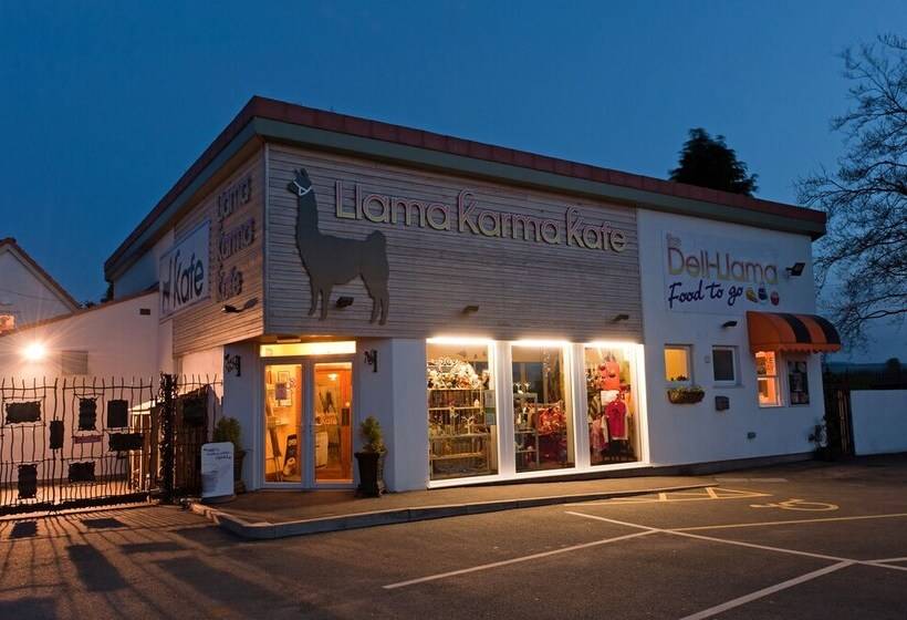 Bed and Breakfast Llamas Pyjamas