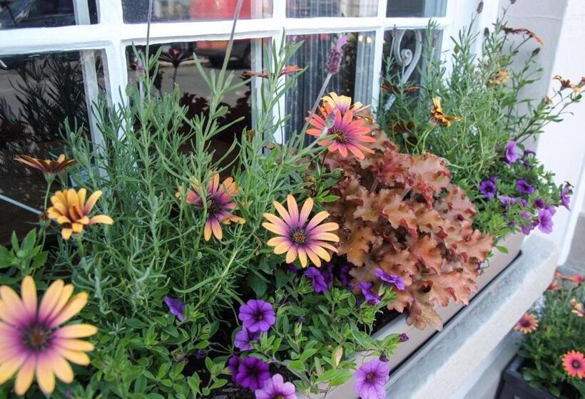 Bed and Breakfast Ring O Bells