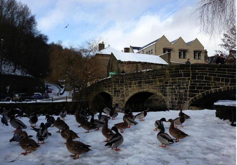 צימר Robin Hood Inn