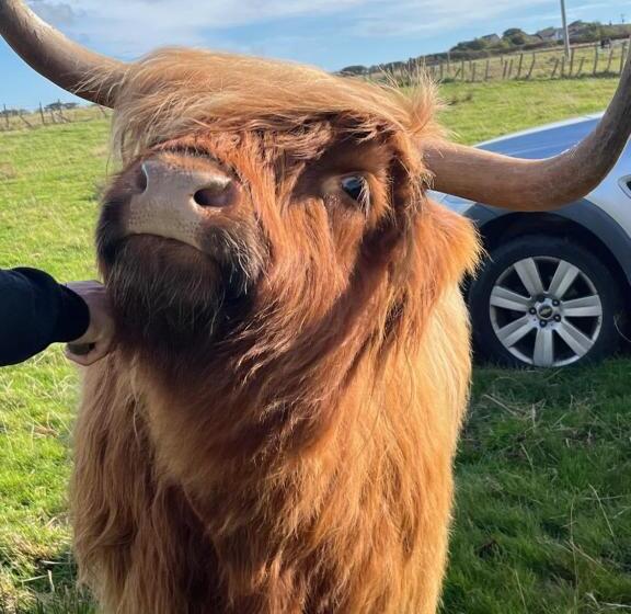 צימר Valleyview House