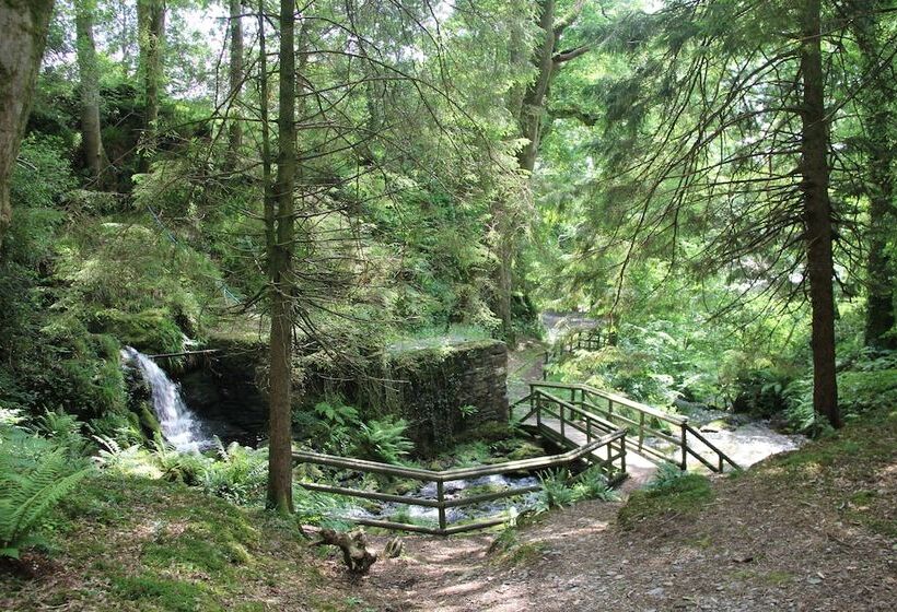 בית מלון כפרי Aberdunant Hall