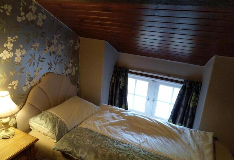 Lledr House Hostel Near Two Zip World Sites