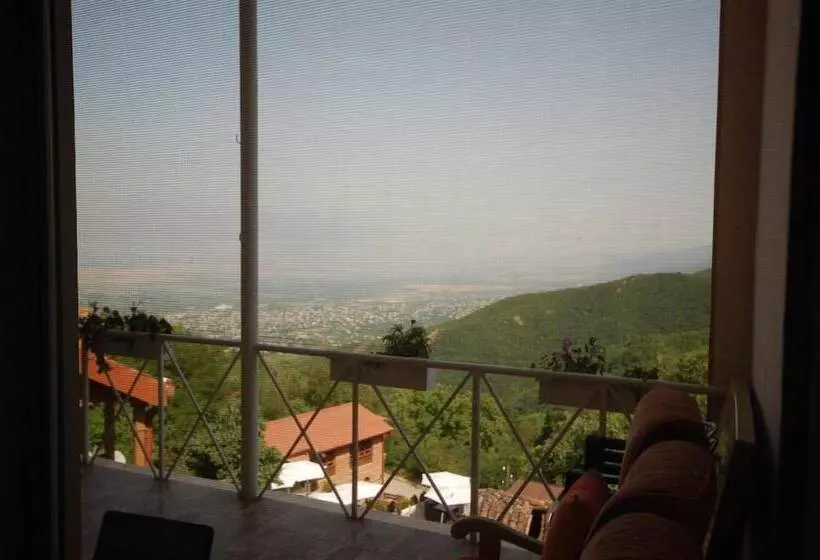 هاستل Lelis Guest House