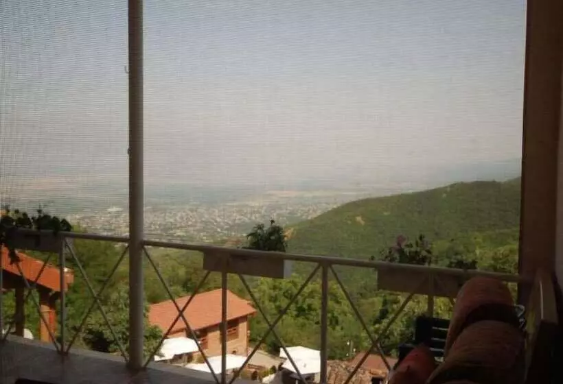 هاستل Lelis Guest House