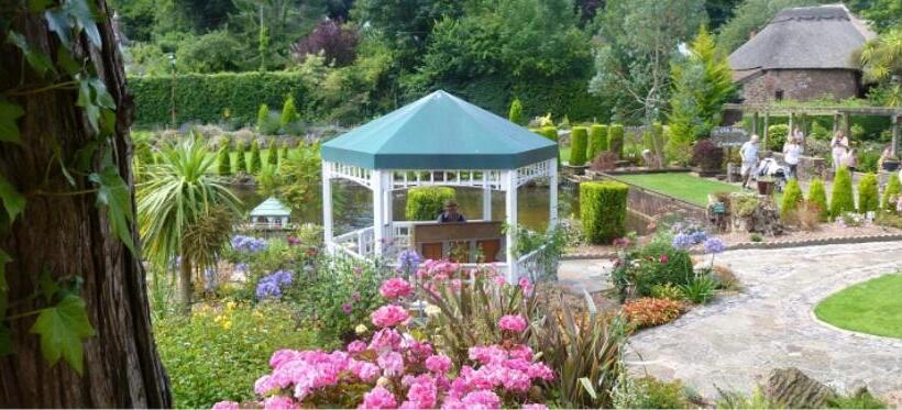 Bed and Breakfast Crowndale Torquay   Exclusively For Adults